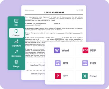 PDF editor tool showing conversion options.