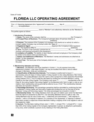 Florida LLC Operating Agreement