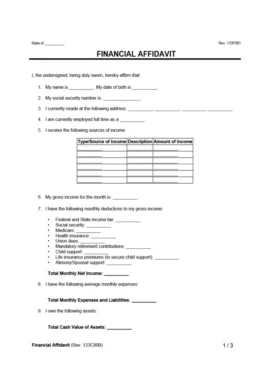 Financial Affidavit
