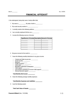 Financial Affidavit